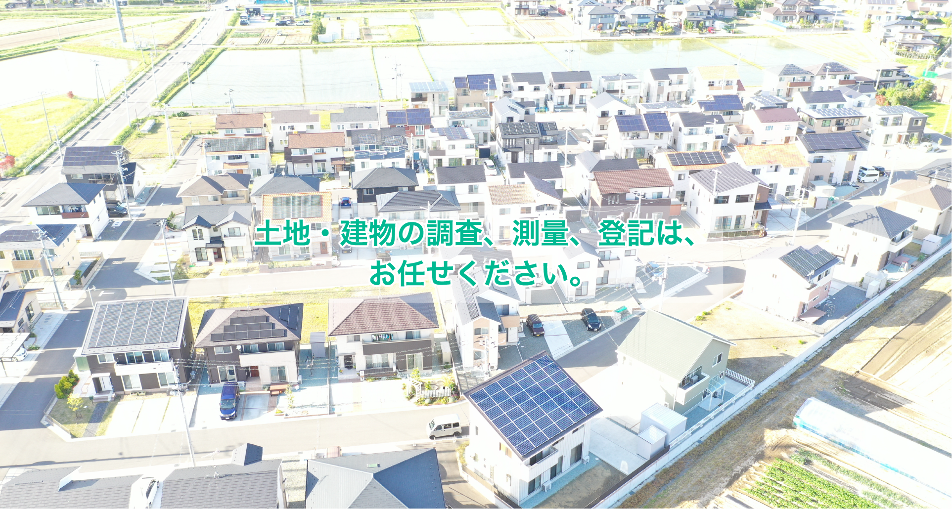 有限会社チームサモン