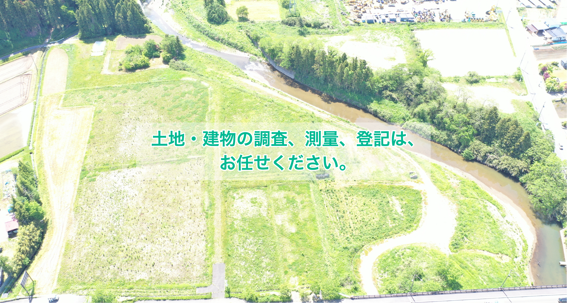 有限会社チームサモン